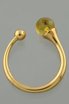 Anillo Ajustable Pseudoescorpión ÁMBAR BÁLTICO Chapado en Oro Plata 2.3g 250806-4 Foto 1 de 4