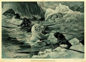 KAYAK ESQUIMAUX HUNTERS CAPTURING POLAR BEAR HUNTING SPEAR PADDLES ICEBERGS - Picture 1 of 1