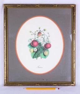 G. Severeyns Lithograph, Fraises (Strawberries), Framed, 15" x 17" - Picture 1 of 8