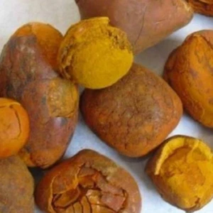 3G NATUR NIU HUANG KRÄUTERMEDIZIN RIND OX KUH GALLENSTEINE BEZOAR KRAUT - Bild 1 von 5