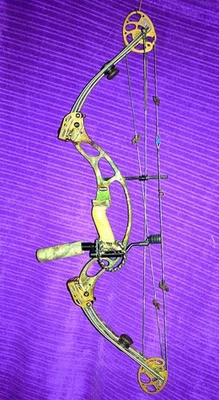 Hoyt XT2000 SuperTec RH Bow 60-70 LBS 29”DL *Perfect Condition!* - Image 1 of 4