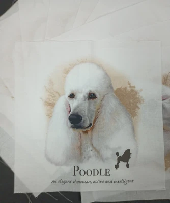 13 White Poodle 8 X 8 inch Fabric Quilt Squares - Image 1 of 4