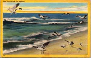 Postal Gaviotas de mar en la playa lino Avalon California 1949 - Imagen 1 de 2