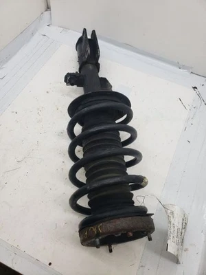 Puntal delantero izquierdo conductor compatible con BMW X5 691174 01-06 Foto 1 de 4