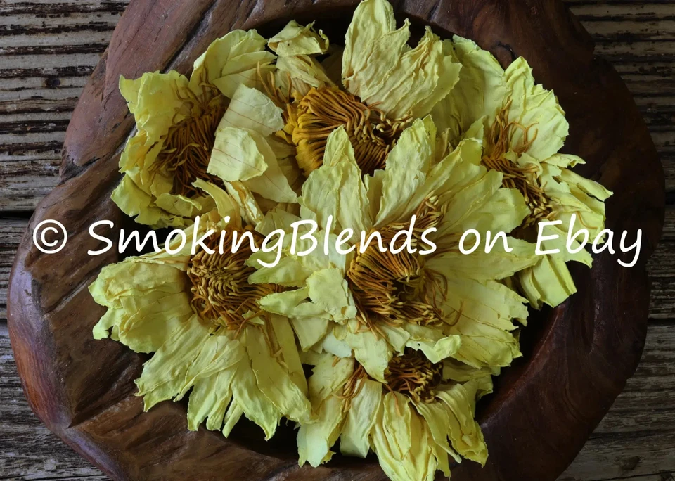 Yellow Lotus Flowers | Tea | Nymphaea Mexicana - Image 1 of 1