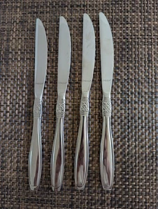 Set of 4 Oneida Vista Stainless Steel Flatware Dinner Knives Bright and Shiny - Picture 1 of 3