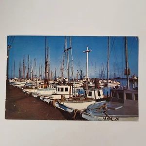 Boat Basin Marina Eureka California Humboldt Bay Vintage Chrome Postcard US 101 - Picture 1 of 6