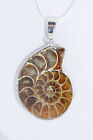 Silberkette mit gerahmtem Ammoniten-Anhnger