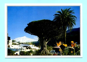 CARTOLINA-ISOLE CANARIE postcard-carte postale-p cartoline - Picture 1 of 1