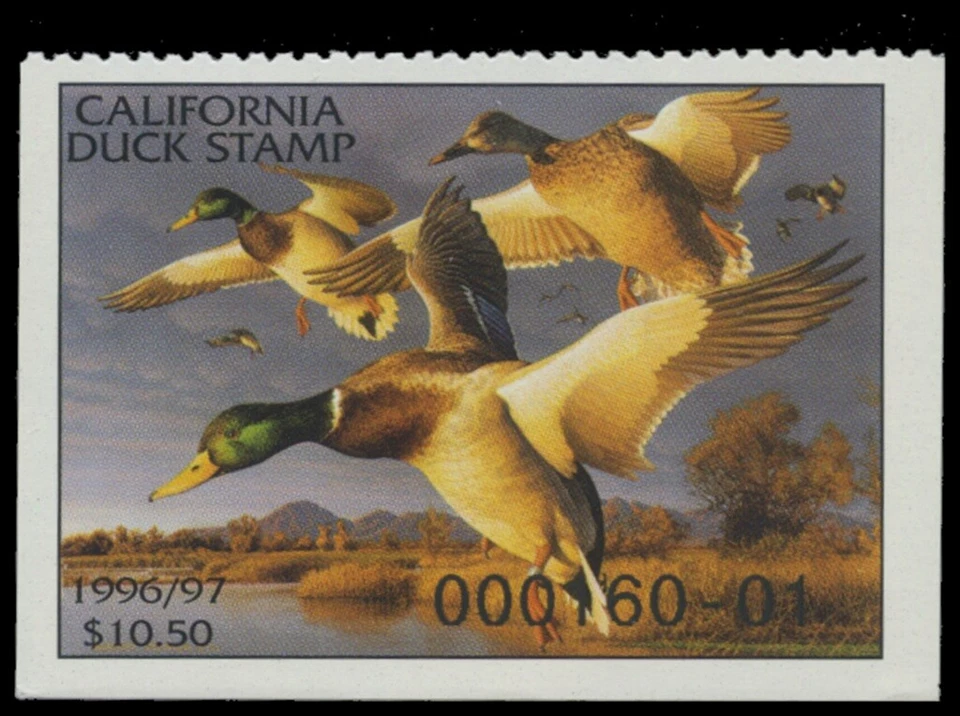 1995  California State Duck Stamp Mint Never Hinged. Original Gum  - Image 1 of 1