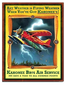 Targa aereo 30 x 40 grande aviazione storica trasporto aereo USA poster *505 - Foto 1 di 3