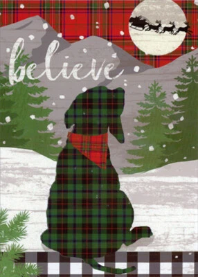 Believe Caja Troquelada Perro a Cuadros Verde y Rojo de 12 Tarjetas de Navidad Pop Out 3D Foto 1 de 3