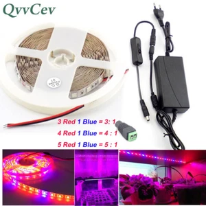1/2/3/5M 12V LED Strip light Plant Grow for indoor vegetables Greenhouse Hydro - Picture 1 of 10
