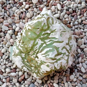 Chrysopal Rough Indonesian Prase Opal 1.07 Kg Green Opal - Picture 1 of 8