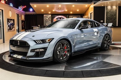 Ford Mustang Shelby GT500 2022 paquete de orugas de fibra de carbono edición Heritage Foto 1 de 4