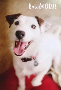 FUNNY DOG "BowWOW! Congratulations" HALLMARK HEARTLINE Congratulations Card - Picture 1 of 2