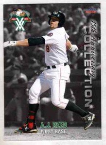 AJ Reed 2016 Choice Tri-City Valleycats 15th Anniversary