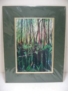 ART PHOTOGRAPHY Florida Everglades Reflections 11x14 Color Photo by John Sterpe - Picture 1 of 3