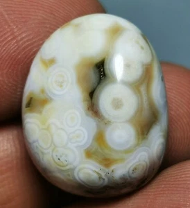 Collection ! Amazing Ocean Jasper Agate palm stone Jasper Reiki Stone - Picture 1 of 11