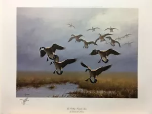 Stampa artistica firmata e numerata soffitto basso Canada oche - Foto 1 di 2