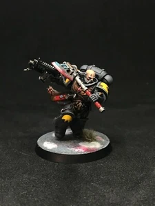Space Wolves Primaris Battle Leader painted Warhammer 40k Primaris Space Marines - Picture 1 of 4