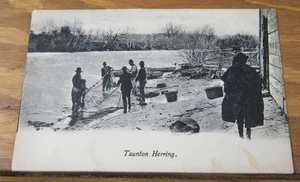 c1907 Postcard///TAUNTON, MA, HERRING FISHING - Picture 1 of 1