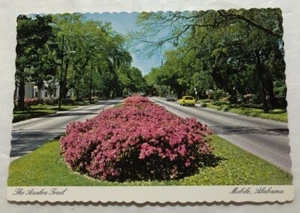 The Azalea Trail Mobile, Alabama. Postcard (Z2) - Picture 1 of 2