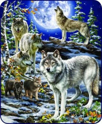 REGAL COMFORT 79x96 Queen Spirit of the Pack Wolf Wolves Cubs Mink Fleece Blanket Super Plush