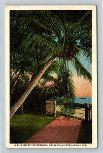 Miami FL-Florida, Glimpse Of Grounds Royal Palm Hotel Vintage Souvenir Postcard - Picture 1 of 2