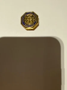 Vintage HOSPITAL VOLUNTEER SERVICE Pollack GOLD TONE Enamel LAPEL PIN 3/4” VG ! - Picture 1 of 3
