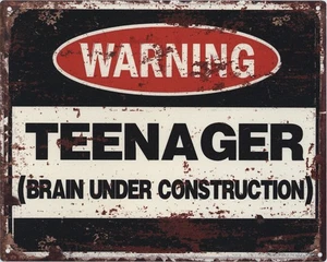 Cartel de chapa Moritz Warning Teenager Brain 20 x 25 cm Retro Vintage Tin Sign - Imagen 1 de 3