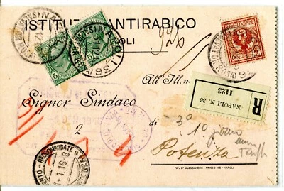 1915 Italy Cover Napoli Salvator Rosa PO to Potenza on Anti-Rabies corner card - Image 1 of 4
