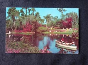 FLORIDA FL Zypressengärten Boote Kanus Blumen Postkarte - Bild 1 von 2