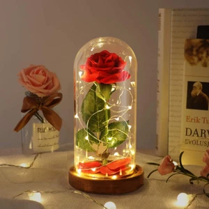 Rosa de La Bella y la Bestia, Rosas para el Día de la Madre, Regalos para Mamá - Foto 1 di 12