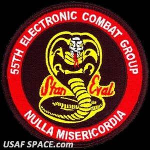 USAF 55° GRUPPO COMBATTIMENTO ELETTRONICO -STAN / EVAL-Davis-Monthan AFB- PATCH ORIGINALE - Foto 1 di 3