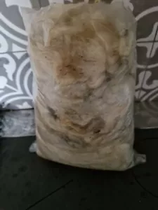 Schafwolle - Rohwolle ungewaschen, naturbelassen ca 1 kg Basteln Dünger - Bild 1 von 3