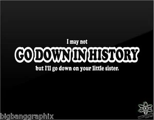 Biker Vinyl Decal sticker Funny Trucker Saying Slang Retro Vintage - Picture 1 of 4