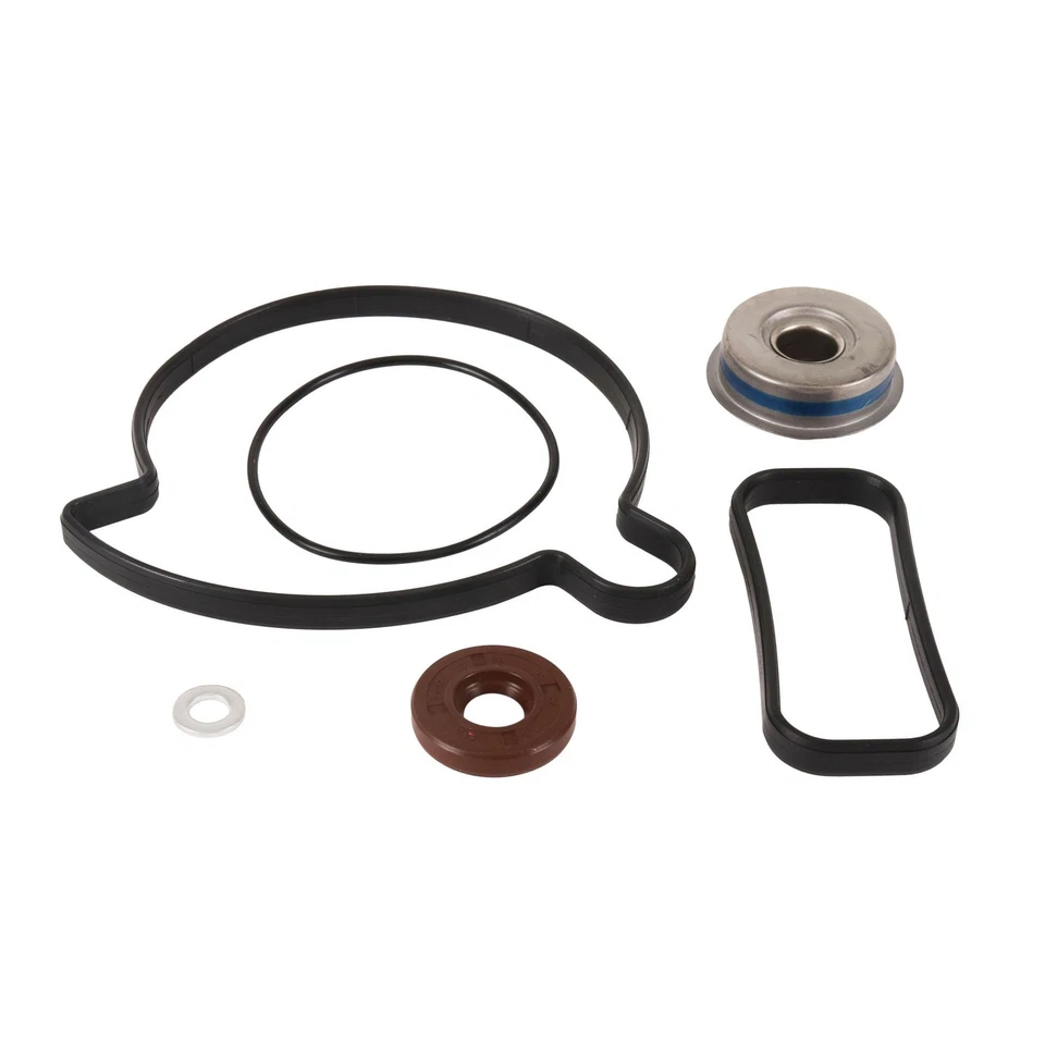 Ski-Doo MXZ TNT 1200,2009 - 2015,水泵重建/密封套件 — 第 1/1 张图片