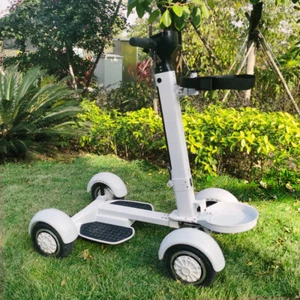Electric Golf Cart 2000W 48V 20km/h 10" Tire Four Wheel Golf Skateboard Cart - Picture 1 of 17