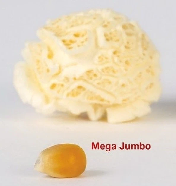 MEGA Jumbo Popcorn Corn 1kg - Golden Yellow, Extra Large Flakes Flavouring-Sugar.com - Image 1 of 4