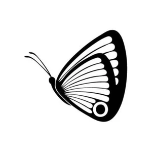 Butterfly Side - Vinyl Decal Sticker for Wall, Car, iPhone, iPad, Laptop, Bike - Picture 1 of 8