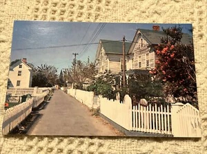 VTG Old Tangier Island Virginia POSTCARD Tingle Printing Plastichrome - Picture 1 of 6