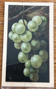 Victorian Trade Card Green Grapes 1889 Antique Old Arbuckle's Ariospa Coffee - Picture 1 of 4