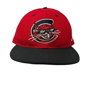 Charleston Alley Cats Hat Cap Vintage New Era 5950 90s Minor League Made in USA - Picture 1 of 12