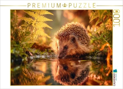 CALVENDO Puzzle Ein Schluck Sommer, der Igel stillt seinen Durst | 1000 Teile Le