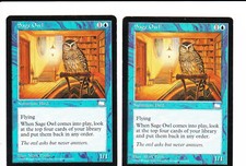 MTG Weatherlight  2 x SAGE OWL