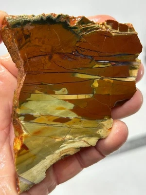 Royal Imperial Jasper Slab Cabbing Collecting Mexican Combo Ship Avail - Image 1 of 4