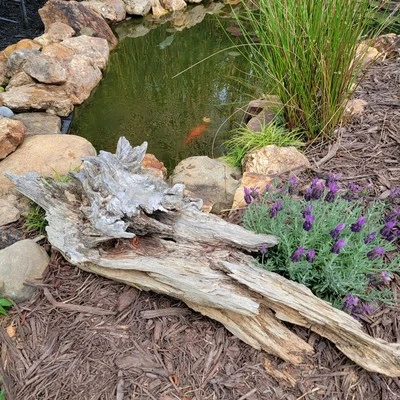 Large Garden Driftwood Log/ Stump  Decor # Pondlife - Image 1 of 4