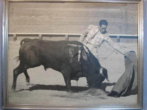 OLD PHOTO BULLFIGHT MATADOR BULL FIGHTER EL CALESERO - Picture 1 of 3