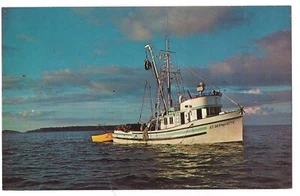 PACIFIC NORTHWEST TRAWLER Fishing Vessel Boat Washington Puget Sound Postcard - Picture 1 of 2